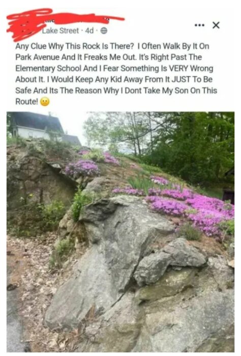 Stor klippa omgivet av lila blommor och gröna växter, med ett hus och träd i bakgrunden.