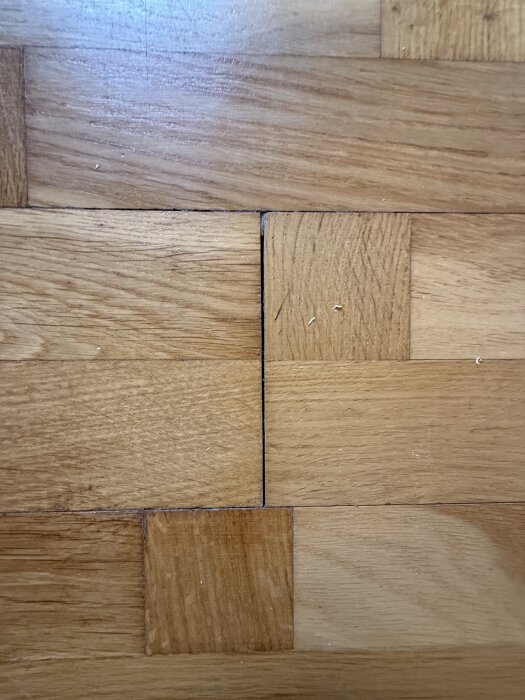 Trägolv med små parkettbitar i ljusbrun färg, i frågan om träslag är det oak.