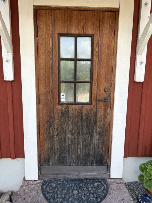 Nyrenoverad teakdörr med glasruta och svart handtag, omgiven av röda träväggar och vitt foder, med blomma och dörrmatta i förgrunden.