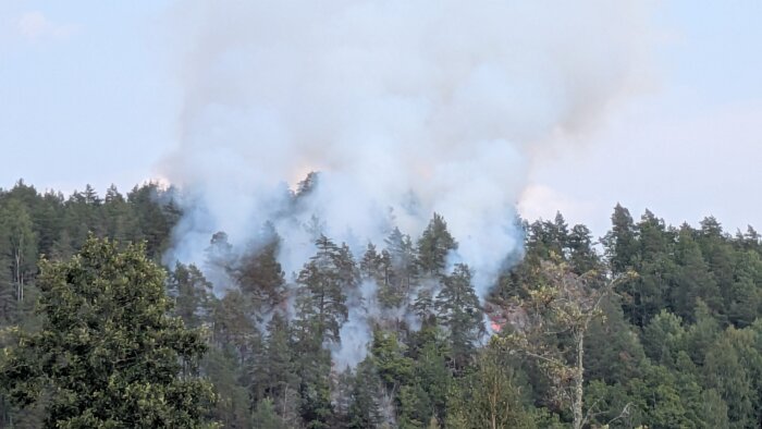 Skogsbrand i skogsområde med rök stiger upp mot himlen, grönskande träd omger området.