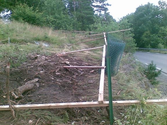 20070716(001).jpg