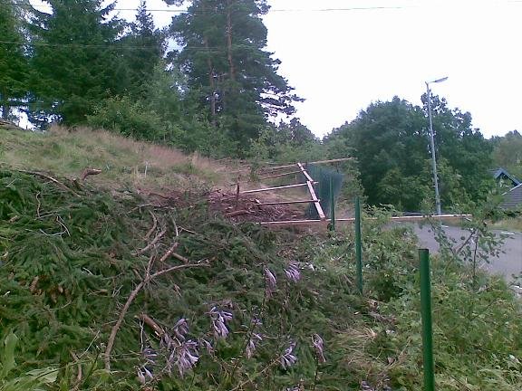 20070716.jpg
