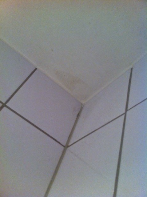 bild 4.JPG