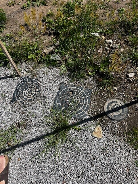 Tre brunnslock på grusig mark omgivet av gräs och vildväxande växter.