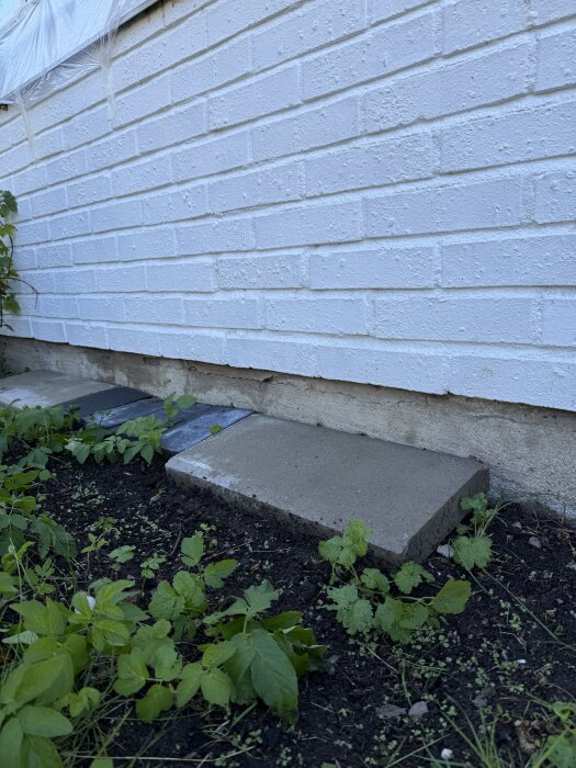 Vitmålad tegelvägg med marknära betongplattor vid en rabatt med jord och växtlighet. Möjlig skada i sockelputsen kan ses.