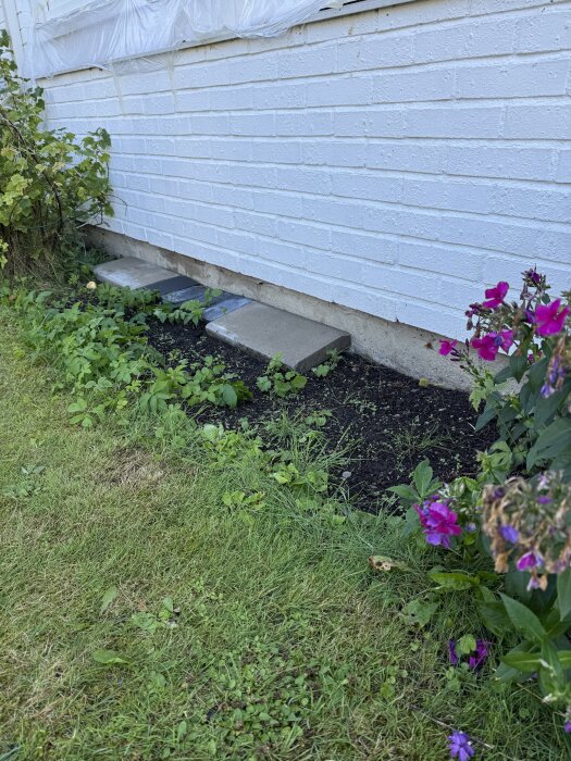 Öppen jord och blomrabatt intill husgrund; betongplattor i lutning nära husväggen. Gräsmatta och blommor framför.