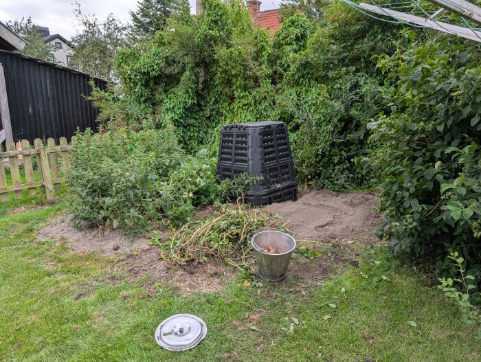 Övervuxen trädgård med åkervinda och brännässlor, en kompostbehållare och en hink i hörnet av en tomt omgiven av buskar och ett staket.