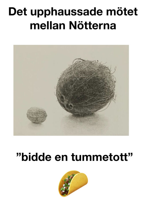 En stor kokosnöt och en liten valnöt ligger bredvid varandra, med texten "Det upphaussade mötet mellan Nötterna" och "bidde en tummetott" ovanför.
