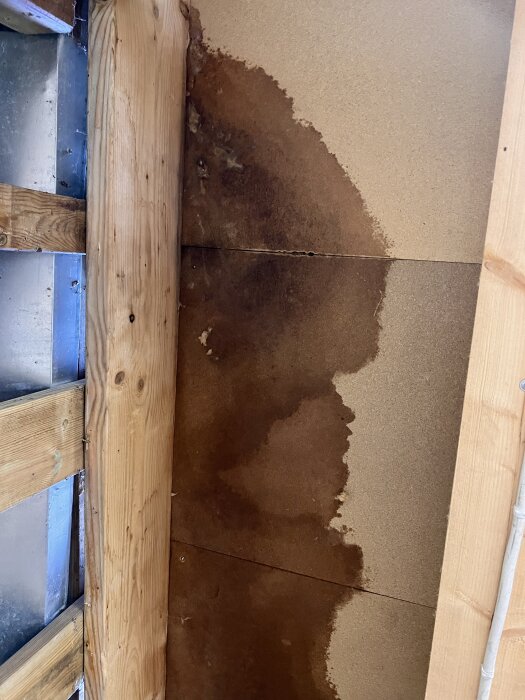 Fuktig fläck på masonit i uterumsgolv, troligtvis på grund av läcka. Synliga träbalkar längs sidan, problem med vatteninträngning och myror.