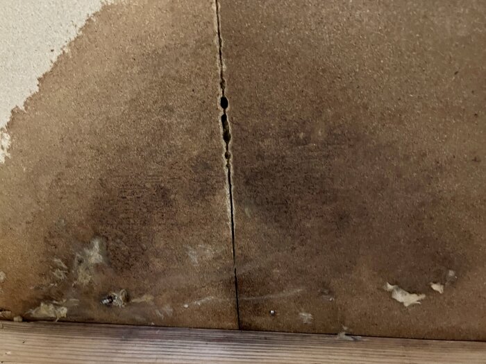 Fuktskadad masonit med hål, spån och potentiella tecken på myrbo.