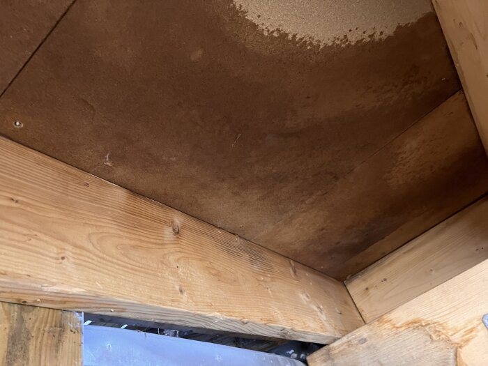 Blöt fläck på masonit under klickgolv i uterum samt träbalkar, upptäckt efter vattenläcka.