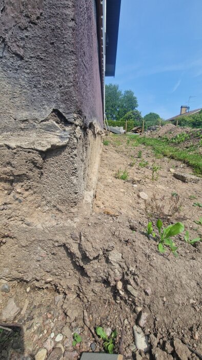 Husgrund med exponerad platta och del av söndervittrad sockel. Mark runt hörnet visar tecken på tidigare växtbädd och behov av renovering.