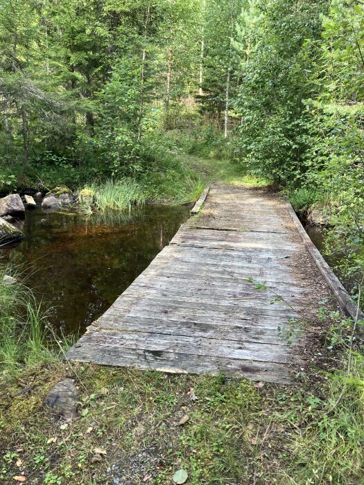 Gammal träbro över liten bäck i skogsmiljö med omgivande grönska och stenar.