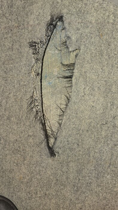 Närbild av trasig matta med fransiga kanter och blottlagd blågrå yta under, eventuellt med svart limrester.