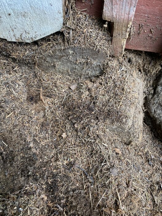 Jord och trä i förrådshörn, möjligt tecken på nedbrytning.