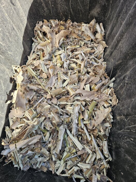 Trädgårdskorg fylld med flisade grenar och barkbitar.