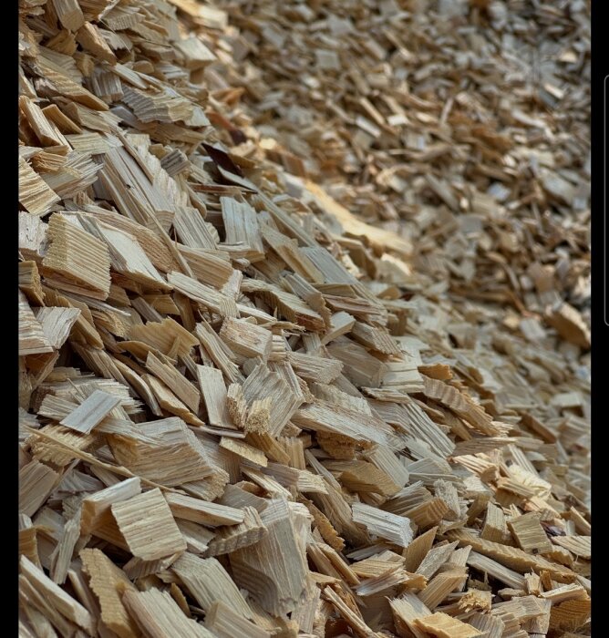 En hög av träflis i olika storlekar.