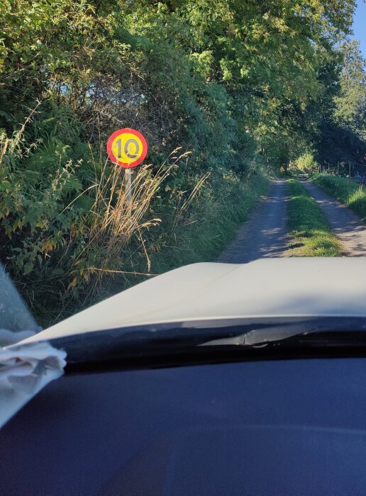 En hemmagjord 10 km/h-skylt står vid en smal grusväg omgiven av grönska, sedd från en bils framruta.