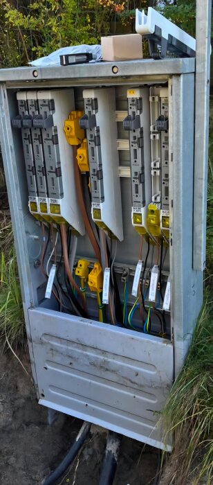 Inre av ett markskåp med flera utgående elkablar och säkringar, monterat i marken och omgivet av gräs och jord.