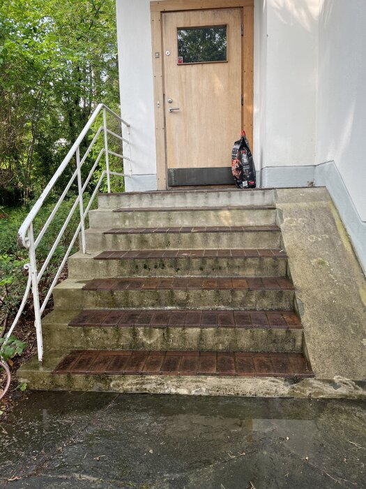 Trappa med brun kakel, grönska intill och en ytterdörr i ek med glasruta.