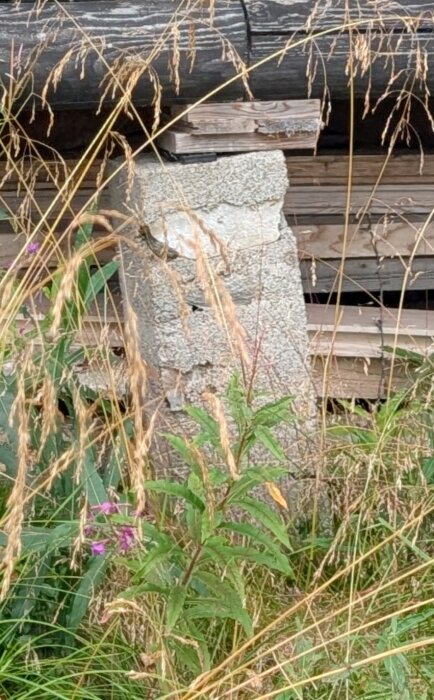 En sliten betongplint bland växter som stöder en sommarstuga, vilket indikerar sättningsproblem i sank mark nära vatten.