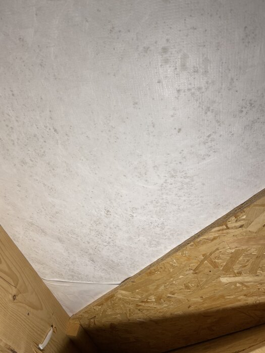 Fläckar på vindsbjälklag i ett hus från 2011, potentiella mögelprickar eller smuts observerade vid inspektion; ingen konstig lukt kändes.