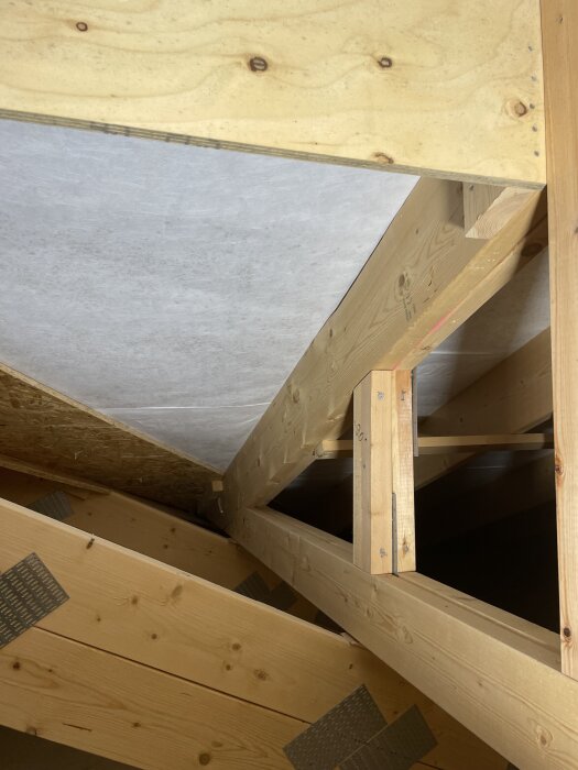 Vind med träbjälkar och ljusa träpaneler. Taket visar oregelbundna mörkare prickar, okänt om det är smuts eller något annat.