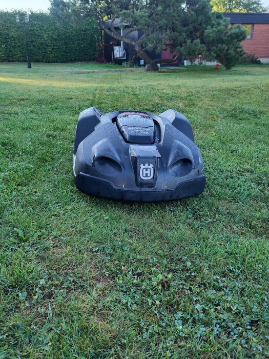 Robotgräsklippare på gräsmatta framför en buske och byggnader i bakgrunden.