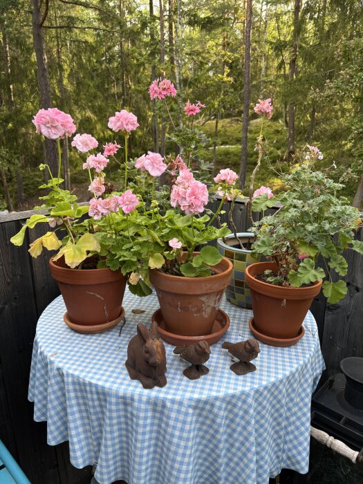 Blandade pelargoner i krukor på ett bord med blåvitrutig duk, omgivna av en skogsmiljö, samt dekorationer av en kanin och två fåglar.