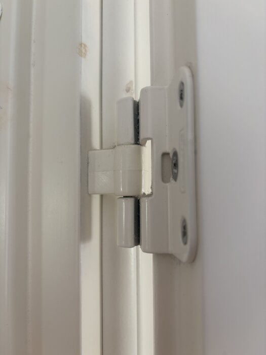 Närbild av vit dörrgångjärn.
