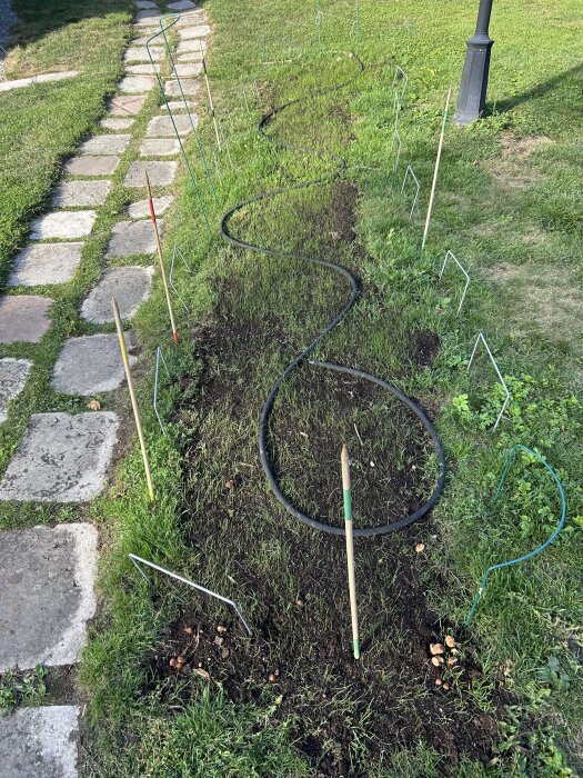 Nygräset spirar efter att ha tagit bort skyddsväven. En krokig jordlinje med stöd och markstenar syns bredvid en stig.