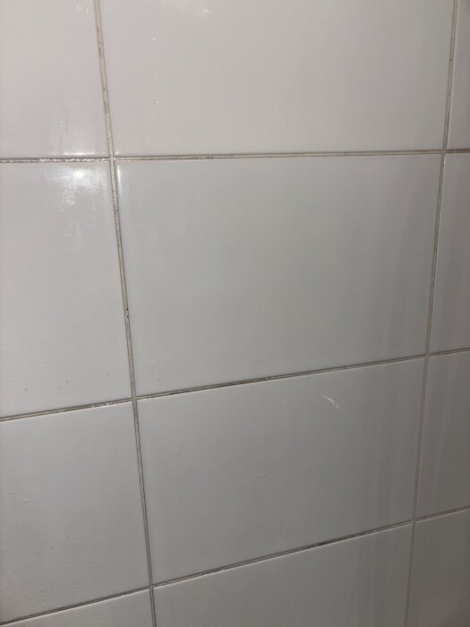 Kakelvägg med fogar i dåligt skick, delvis missfärgade och spruckna, i badrum med byggrelaterade problem.