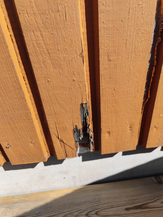 Skadad träpanel med rötskadade brädor på fasad, söker reparationstips.