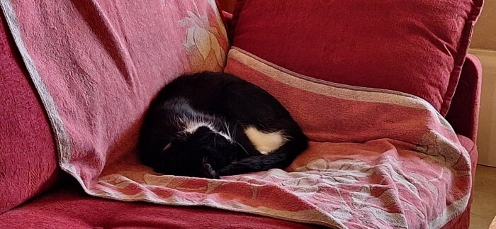 Svartvit katt sover tätt ihoprullad på en röd soffa med blommigt överkast.