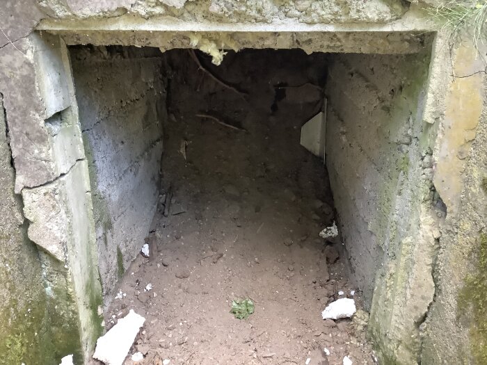 Gammal jordkällare av sten med avskalade frigolitskivor som visar jordmassor bakom.