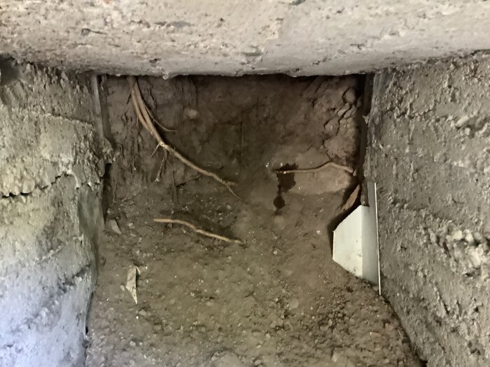 Inre delen av en jordkällare med borttagen frigolit visar blottad jordvägg och rötter, spekulerar kring eventuell kollaps.