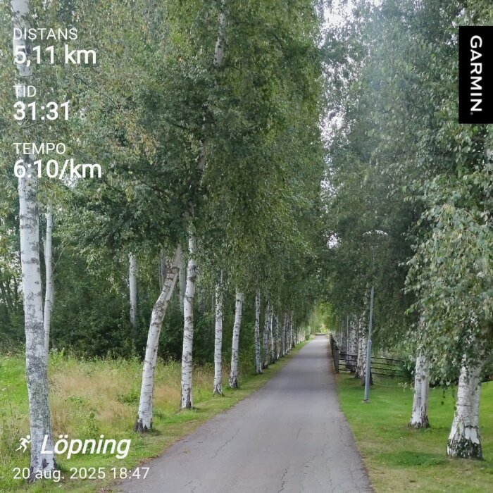 Löptur på löparbana omgivet av björkträd, distans 5,11 km, tid 31:31, tempo 6:10/km, registrerat med Garmin.