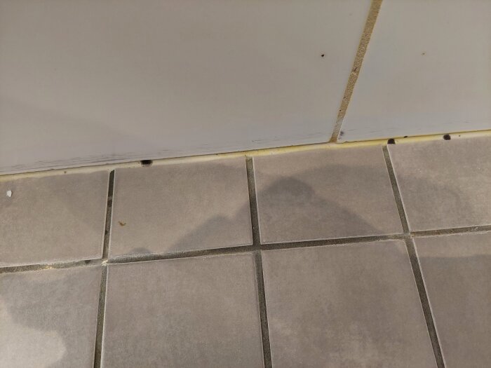 20250817_184601.jpg