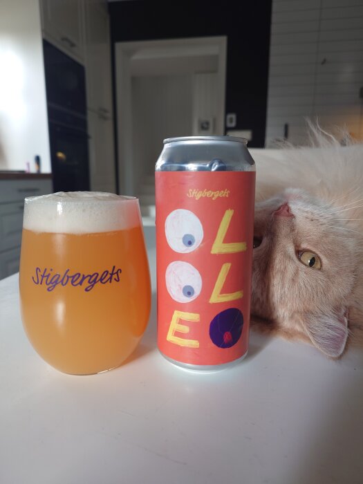 En öl i glas bredvid en söt katt och en ölburk på ett bord.