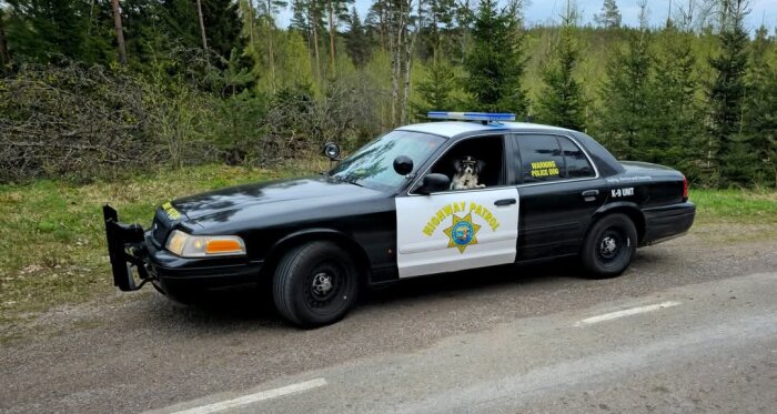 Svart och vit polisbil av modellen Crown Victoria, skyltar för "Highway Patrol" och "K-9 Unit", parkerad vid skogsväg.