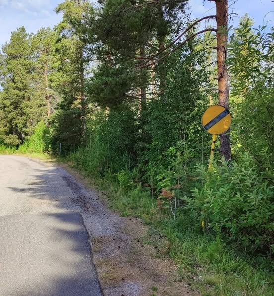 Vägskylt med gul och svart diagonal överstrykning vid en skogsväg, betyder "fri fart". Omgiven av tallar och gröna buskar nära Vuollerim.