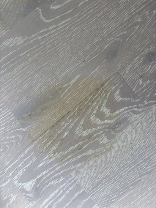 Vit ekparkettgolv med gulaktiga vattenfläckar och små springor mellan plankorna.