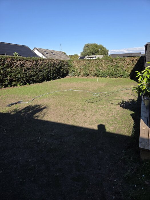 En gräsmatta med vattenslang syns i solen, omgiven av häckar och hus, med blå himmel.