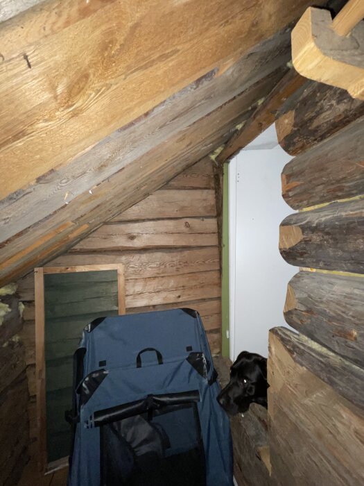 Utrymme under snedtak med mörka träväggar, blått tält eller barnvagn, och en svart hund syns i hörnet.