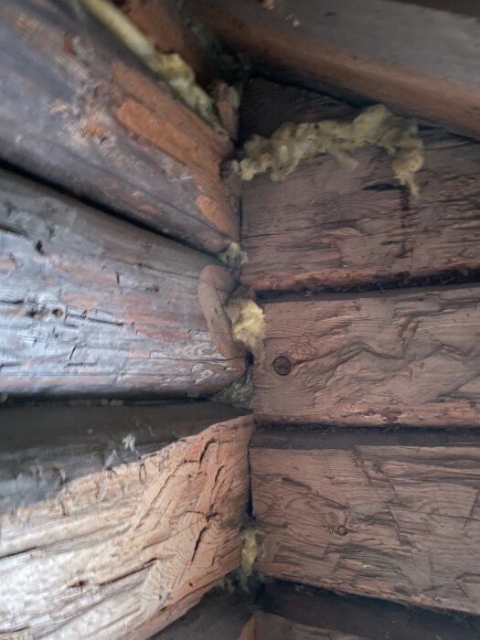 Loghörn med synliga trästockar och isolering.