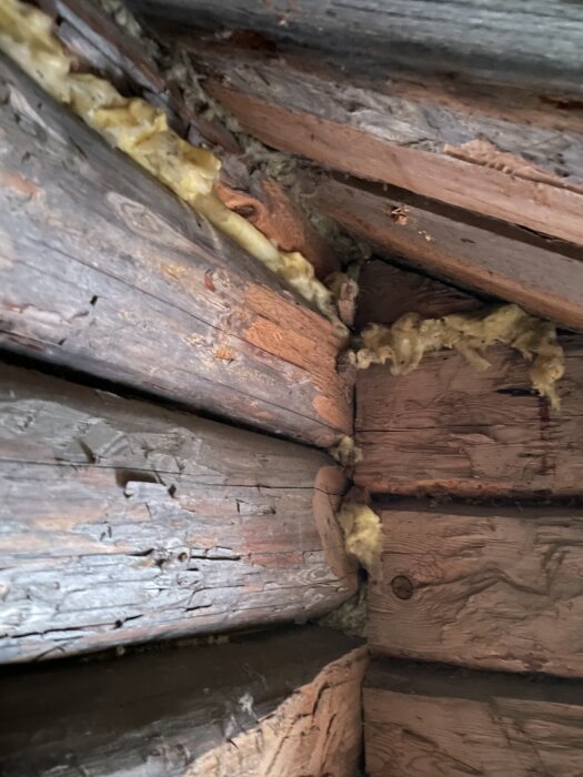 Trävägg med synliga stockar och isoleringsmaterial i sprickorna.