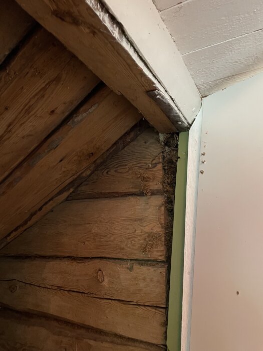 Vinklat perspektiv av vägg- och takhörn med träpaneler och tecken på förslitning.