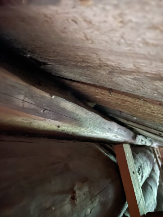 Takbjälkar och plankor i ett mörkt utrymme.