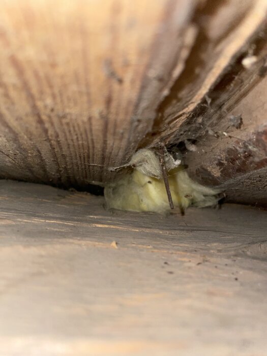 Träplanka med isolering och spik, närbild.