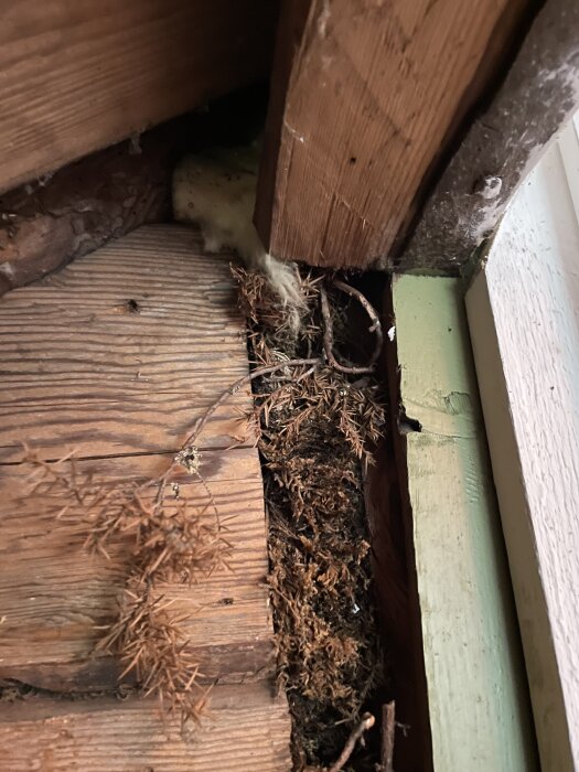 Träbeklädnad med springa fylld av isolering och smuts samt en vit substans högre upp; fokus på renoveringsbehov.